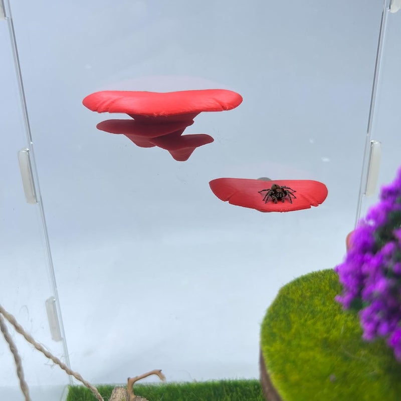 Daerky Jumping Spider Mushroom Shelf, Magnetically Concealed Jumping Spider Habitat,Serves As Enclosure Decorate Accessories for Spider Climbing Feeding and Platforms (Red) - Image 5